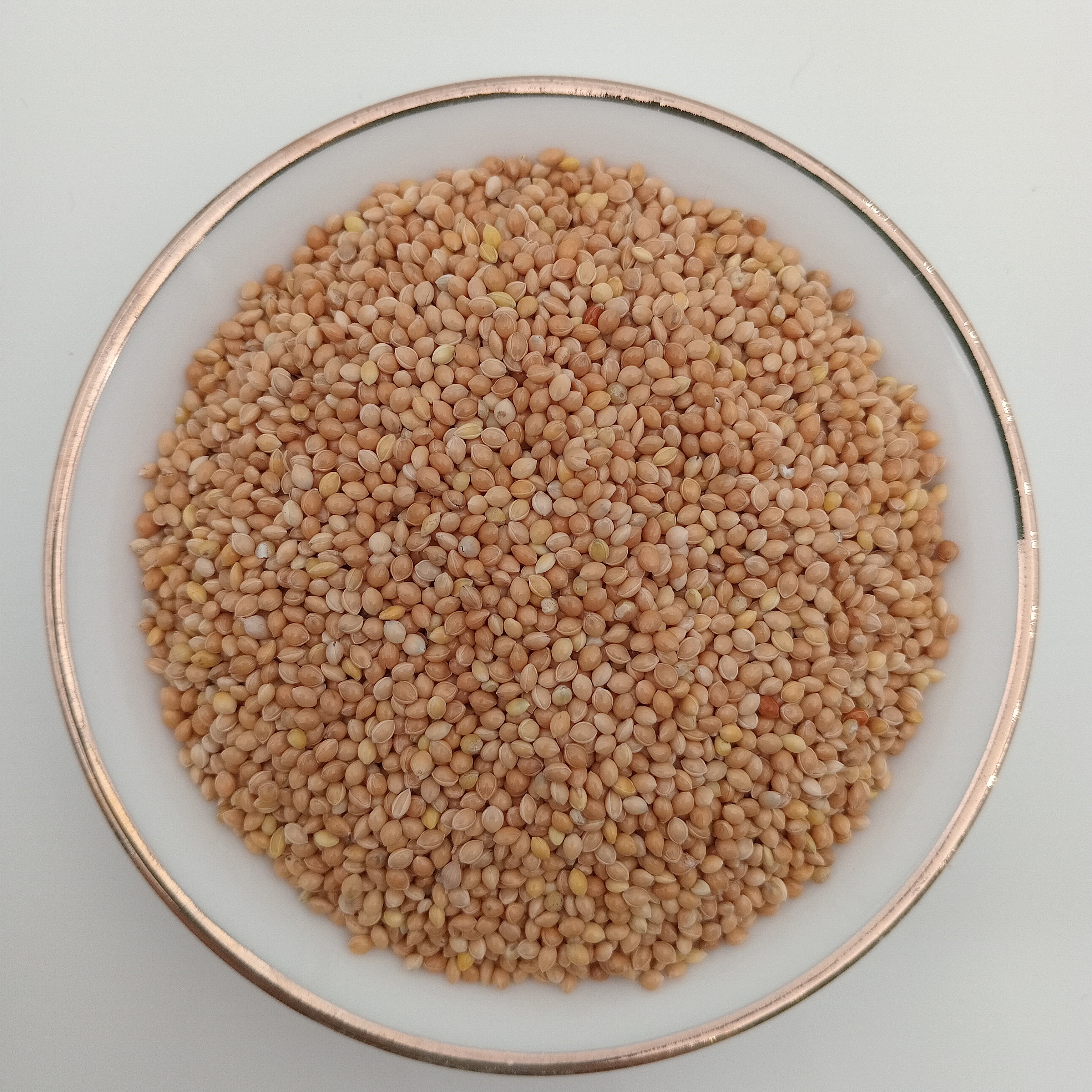 ارزن درشت پاک شده مخصوص پرندگان زینتی و خانگی